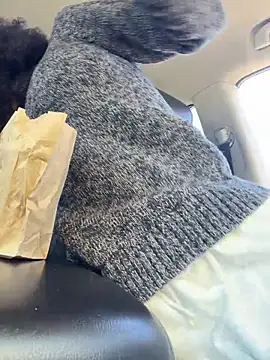 FerrariFrench online show from 29, 3, 2026