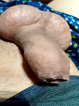 kiwi-strip online show from 22, 3, 2026