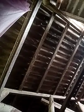 Nthk6 online show from 18, 3, 2026