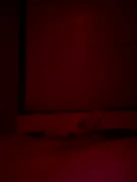 Foxmen9090 online show from 22, 3, 2026