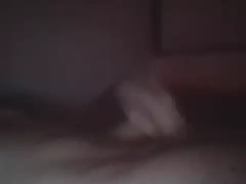 Foxmen9090 online show from 27, 3, 2026