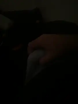 yassineamri online show from 28, 3, 2026