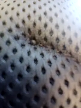 ejthedancer online show from 24, 3, 2026