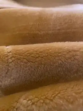 Ashwak trans online show from 4, 4, 2026