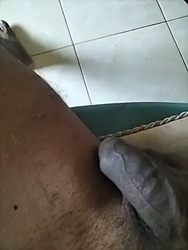 wildguy27 online show from 10, 4, 2026