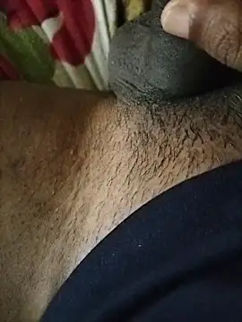 wildguy27 online show from 16, 5, 2026