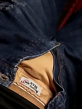 novinho137 online show from 31, 3, 2026