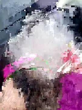 Snapshot of Sarita-sousou chatting on 1, 4, 2026 Sarita-sousou online show from 1, 4, 2026