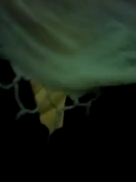 yourdreamman007  online show from 31, 3, 2026