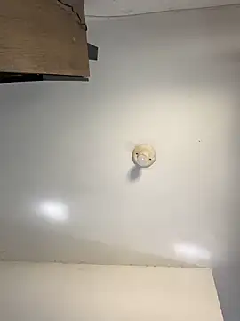 Snapshot of sanches_065 chatting on 6, 4, 2026 sanches 065 online show from 6, 4, 2026