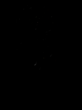 Rocky pune online show from 8, 4, 2026