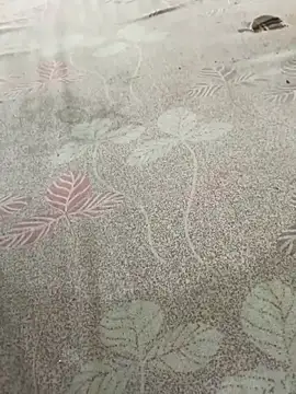 Snapshot of pujaji098 chatting on 13, 4, 2026 pujaji098 online show from 13, 4, 2026