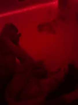 sasa angel online show from 17, 4, 2026