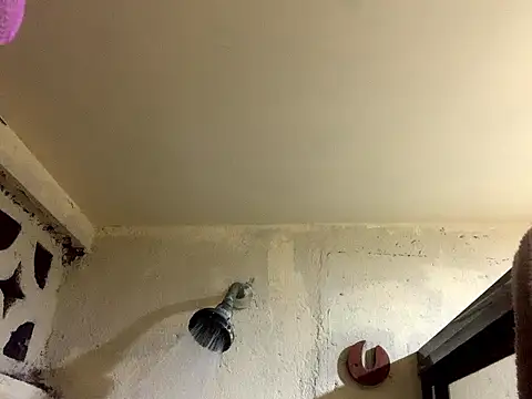 Santi2026  online show from 22, 4, 2026