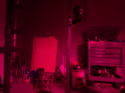GypsyNova69 online show from 5, 6, 2026