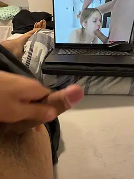 Wolf 18cm online show from 16, 5, 2026
