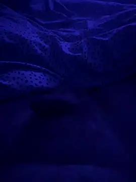 Shylad747 online show from 28, 4, 2026