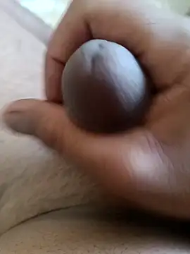 didi-33 online show from 30, 4, 2026