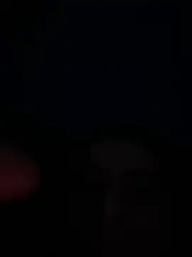 eu marko online show from 30, 4, 2026