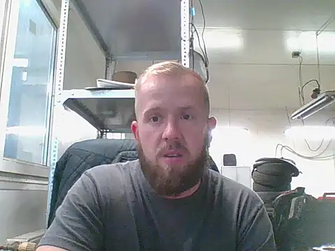 bardiauto online show from 3, 6, 2026