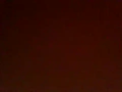 Sleek petite online show from 11, 7, 2026