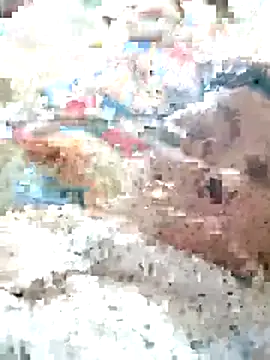 Snapshot of Orio-baby chatting on 31, 5, 2026 Orio-baby online show from 31, 5, 2026