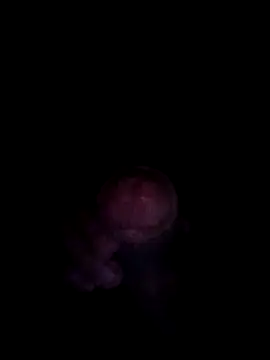 Snapshot of blanquito_leche chatting on 29, 7, 2026 blanquito leche online show from 29, 7, 2026