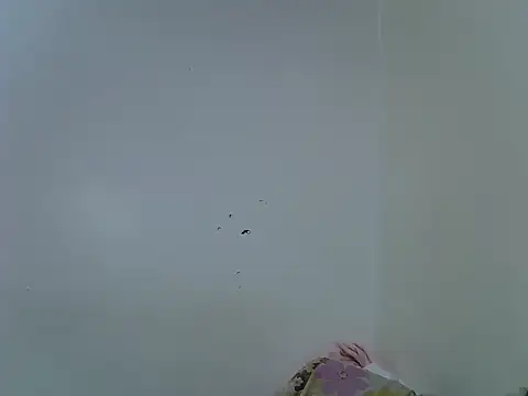 Snapshot of velvet_luxe chatting on 28, 6, 2026 velvet luxe online show from 28, 6, 2026