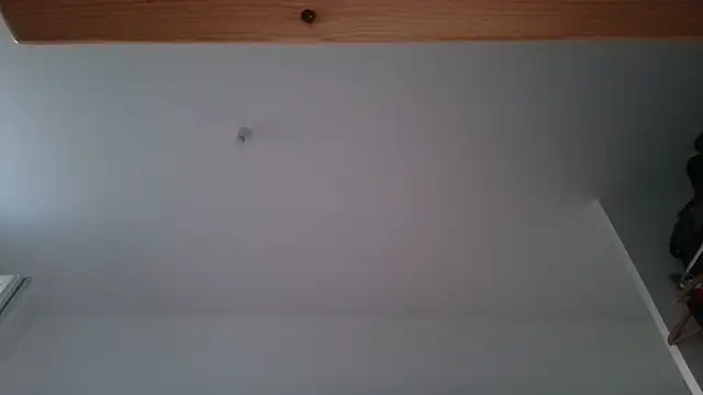 mrandmuse online show from 8, 6, 2026