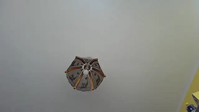 Butterfly PL online show from 9, 7, 2026