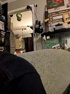 StormStorm8 online show from 13, 6, 2026