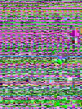 Jelmer57 online show from 24, 7, 2026