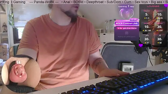 Panda-WolfX online show from 7, 7, 2026