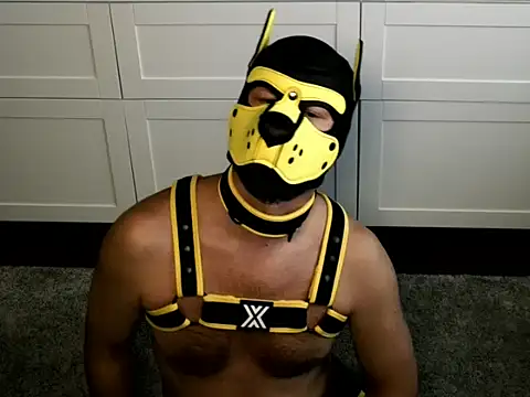 WildyLynx online show from 9, 7, 2026
