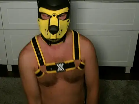 WildyLynx online show from 12, 7, 2026