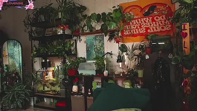 Dead Butterfly online show from 28, 10, 2025