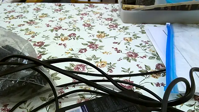 Bigjacky online show from 9, 9, 2025