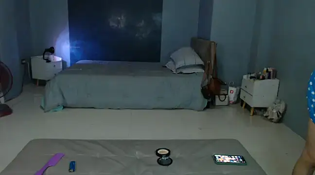 Snapshot of _FoxyFlair chatting on 28, 2, 2025 FoxyFlair online show from 28, 2, 2025