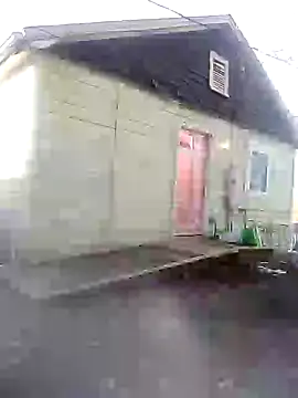 Biknight online show from 15, 1, 2025