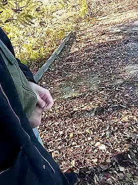 Pokaz2020 online show from 27, 10, 2025