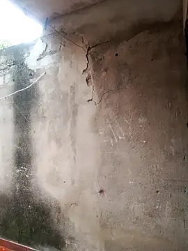 Camilatinass  online show from 1, 4, 2026