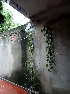 Camilatinass  online show from 16, 4, 2026