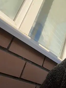 Snapshot of so_cutes chatting on 19, 3, 2025 so cutes online show from 19, 3, 2025