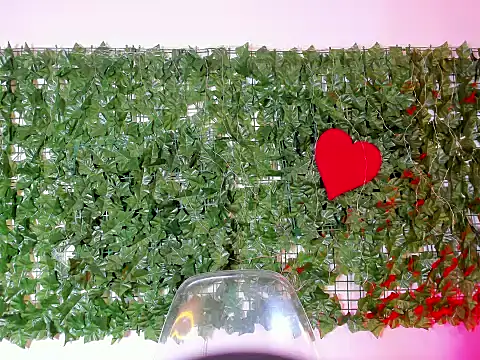 AbbyTaylorr online show from 15, 2, 2026