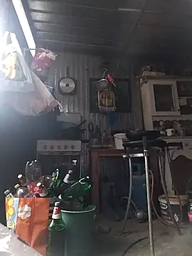 sarpe4 online show from 15, 2, 2026