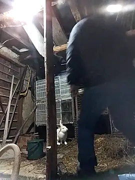 sarpe4 online show from 19, 2, 2026