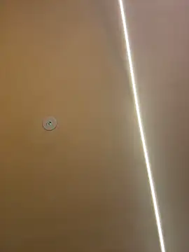 Gatitacarlita online show from 26, 11, 2025