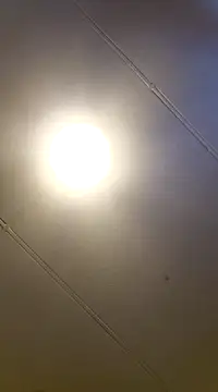 Snapshot of PinkTheHawk chatting on 11, 1, 2025 PinkTheHawk online show from 11, 1, 2025