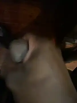 southerncomfort23 online show from 4, 1, 2025