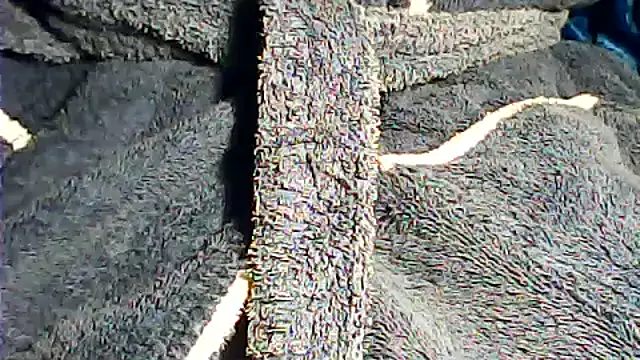 kalinixta online show from 2, 10, 2025